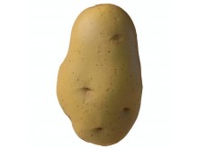 potato stress ball