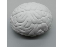 cerebrum brain stress ball