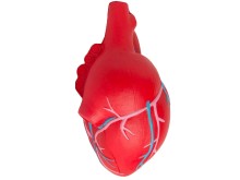 anatomical heart shape stress ball